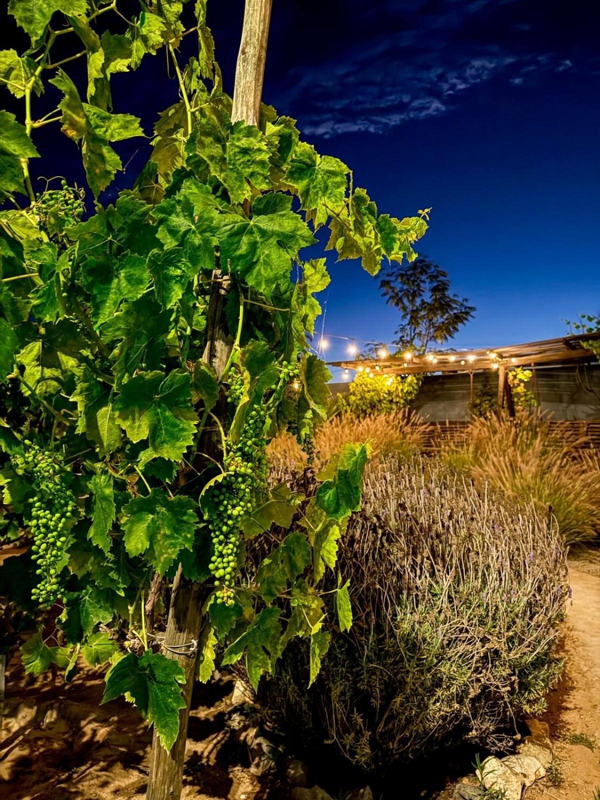 Vila Rincon Del Corazon Valle de Guadalupe Exteriér fotografie